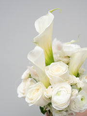 Ivory Bliss