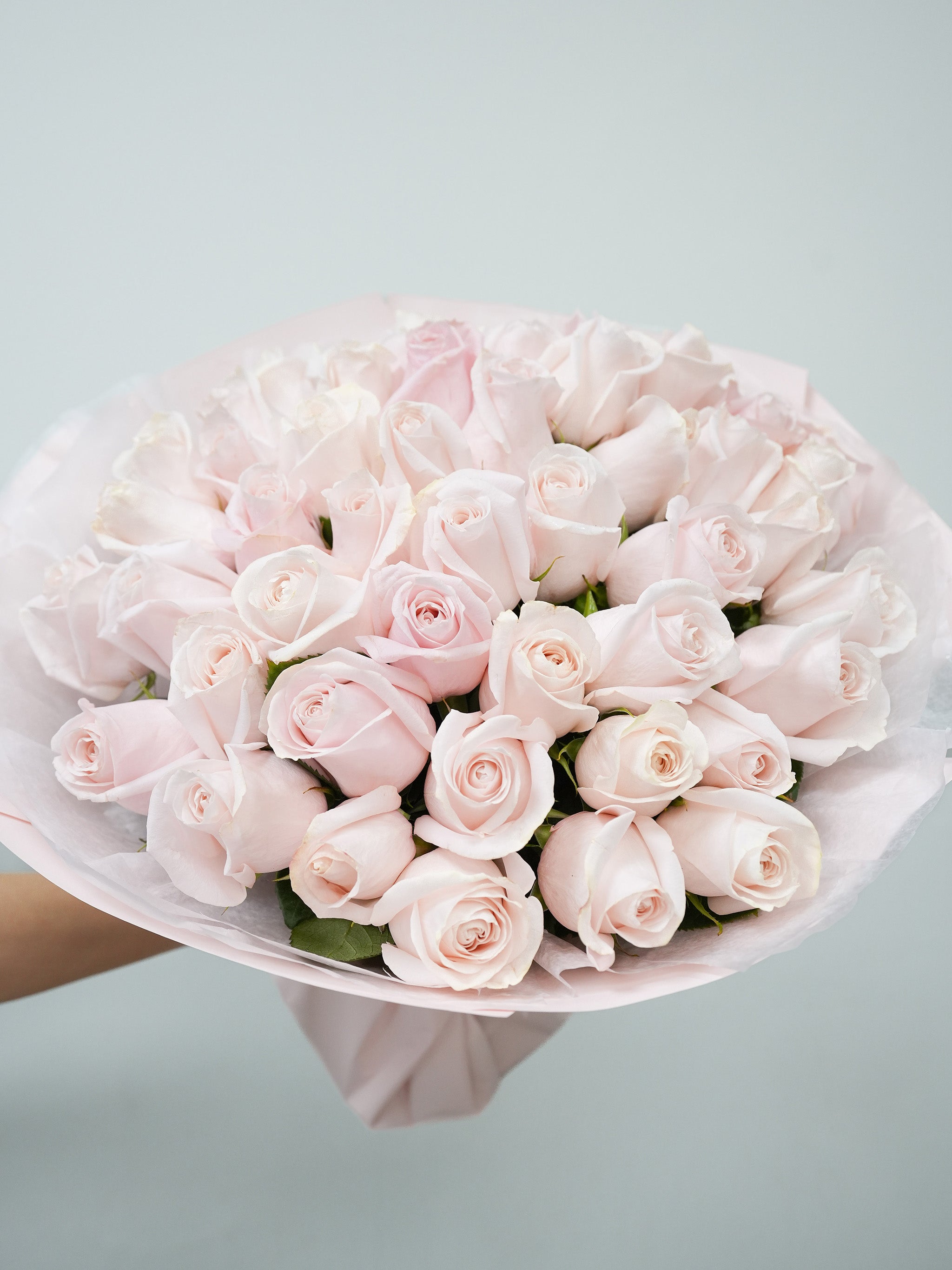 50 Blush Roses Bouquet