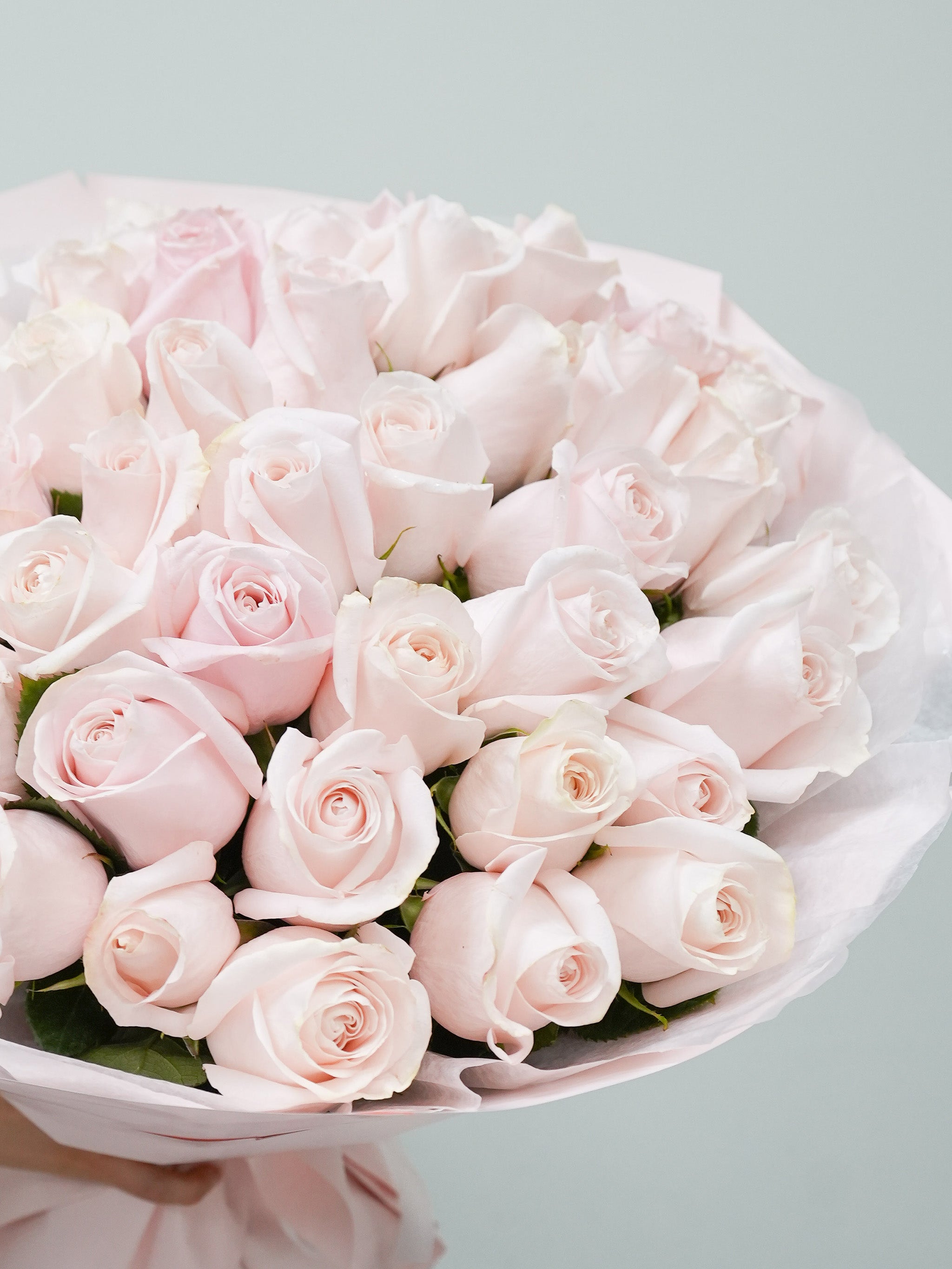 50 Blush Roses Bouquet