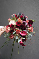 Scarlet Promise