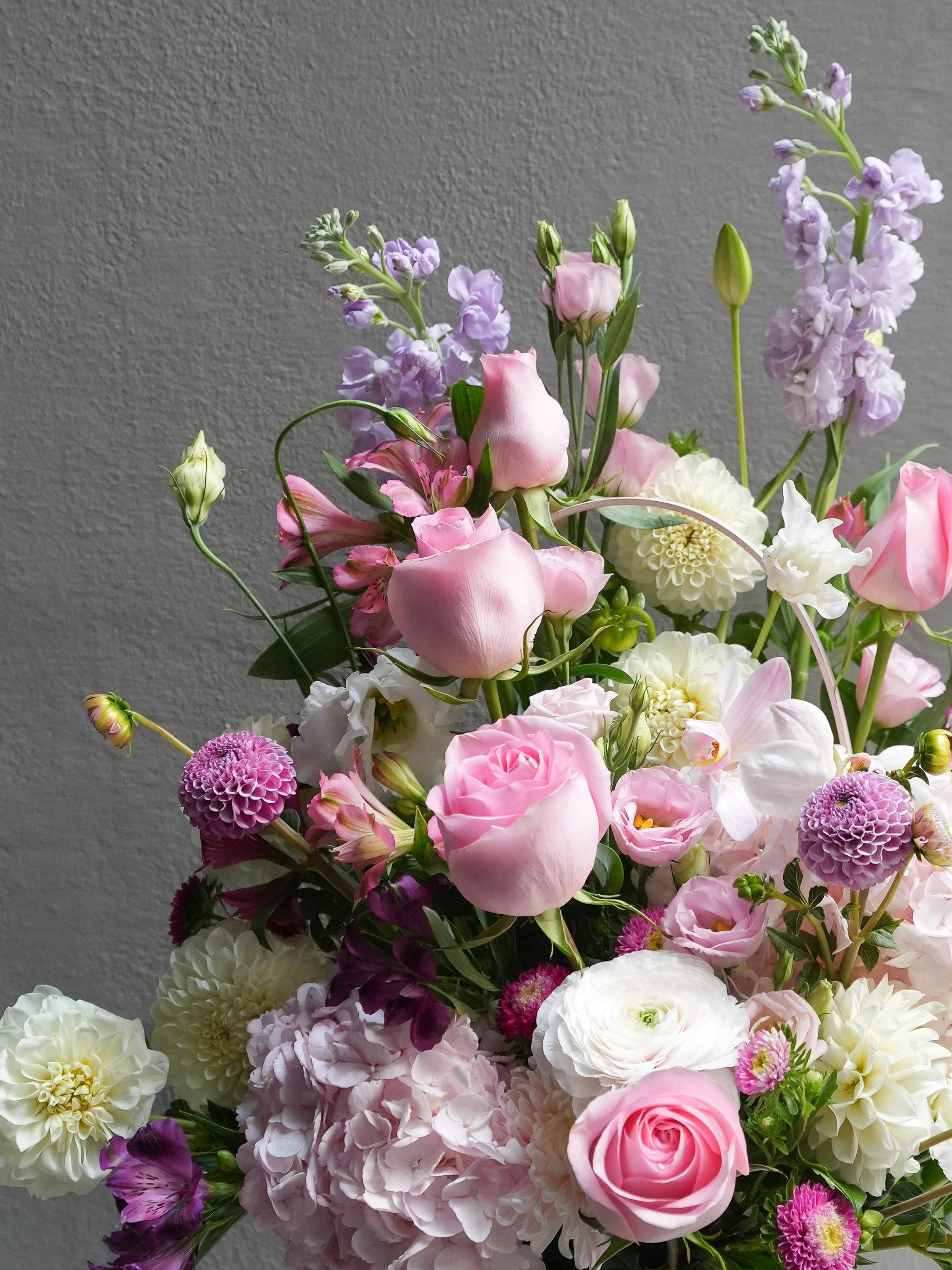 Gentle Bloom