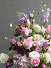 Gentle Bloom