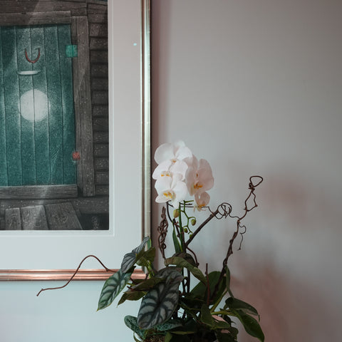 White Orchid Poem