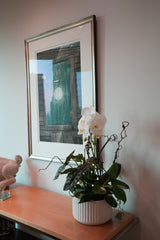 White Orchid Poem