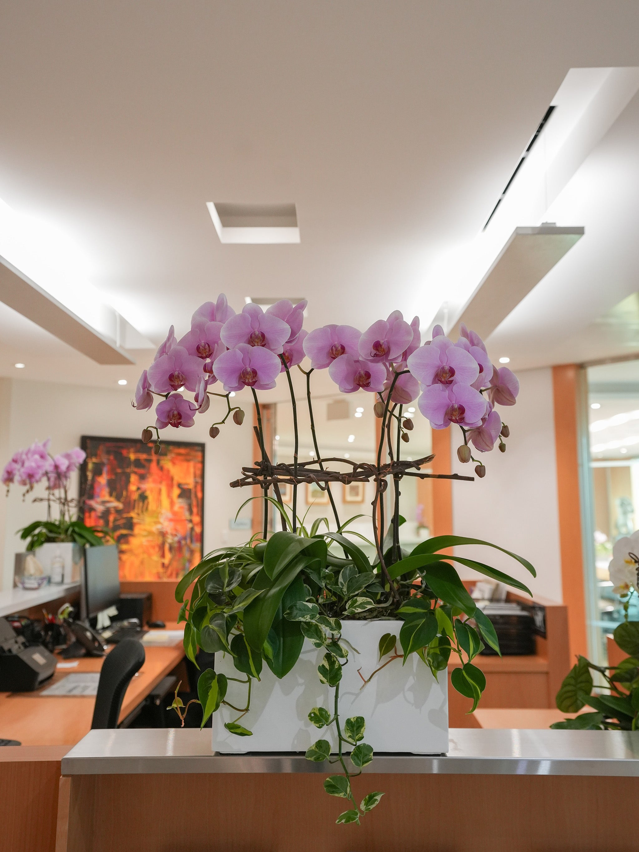 Pink Orchid Poem