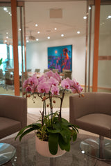 Pink Orchid Poem