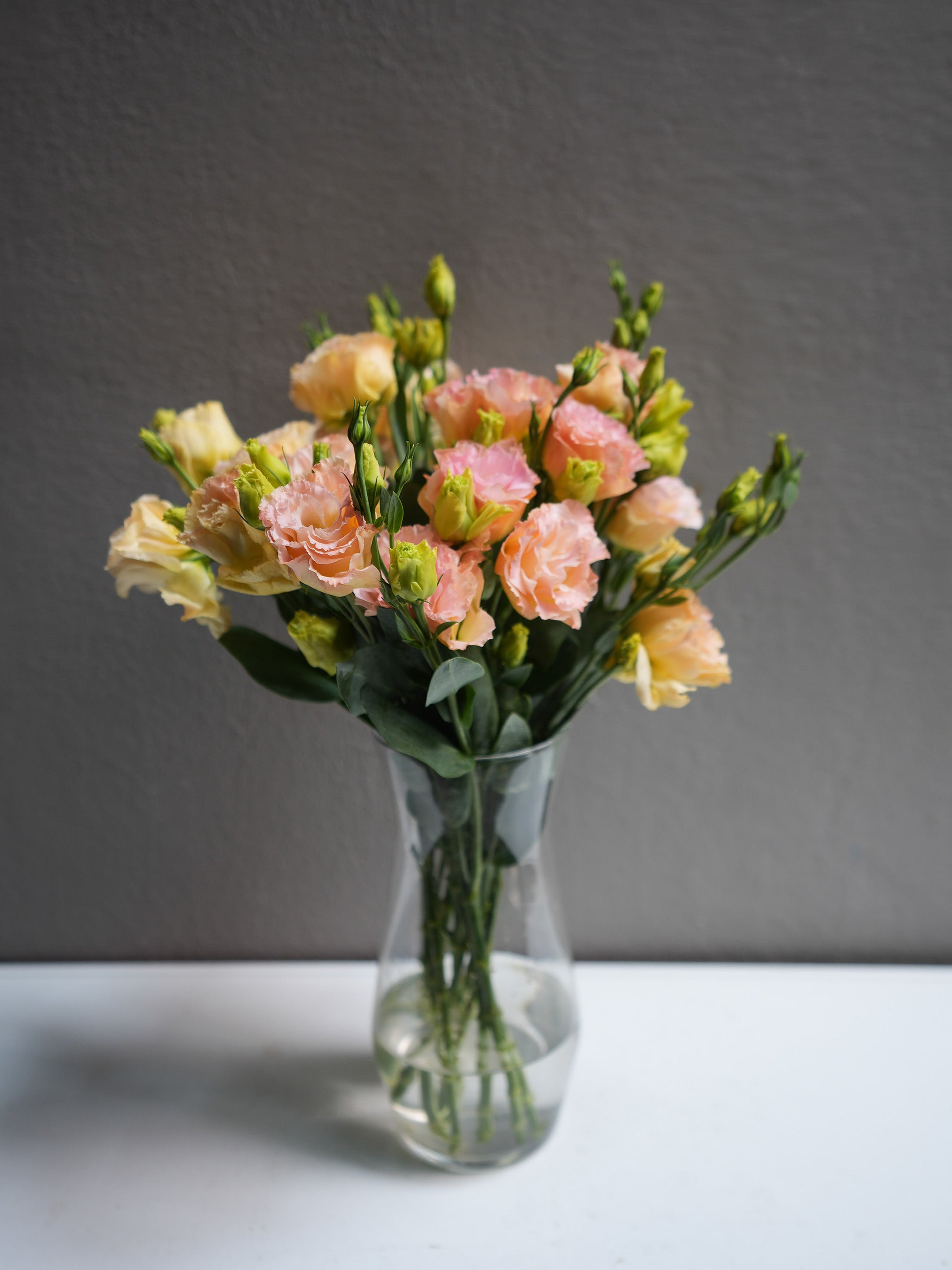 Lisianthus