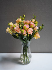 Lisianthus