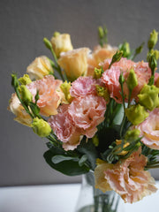 Lisianthus