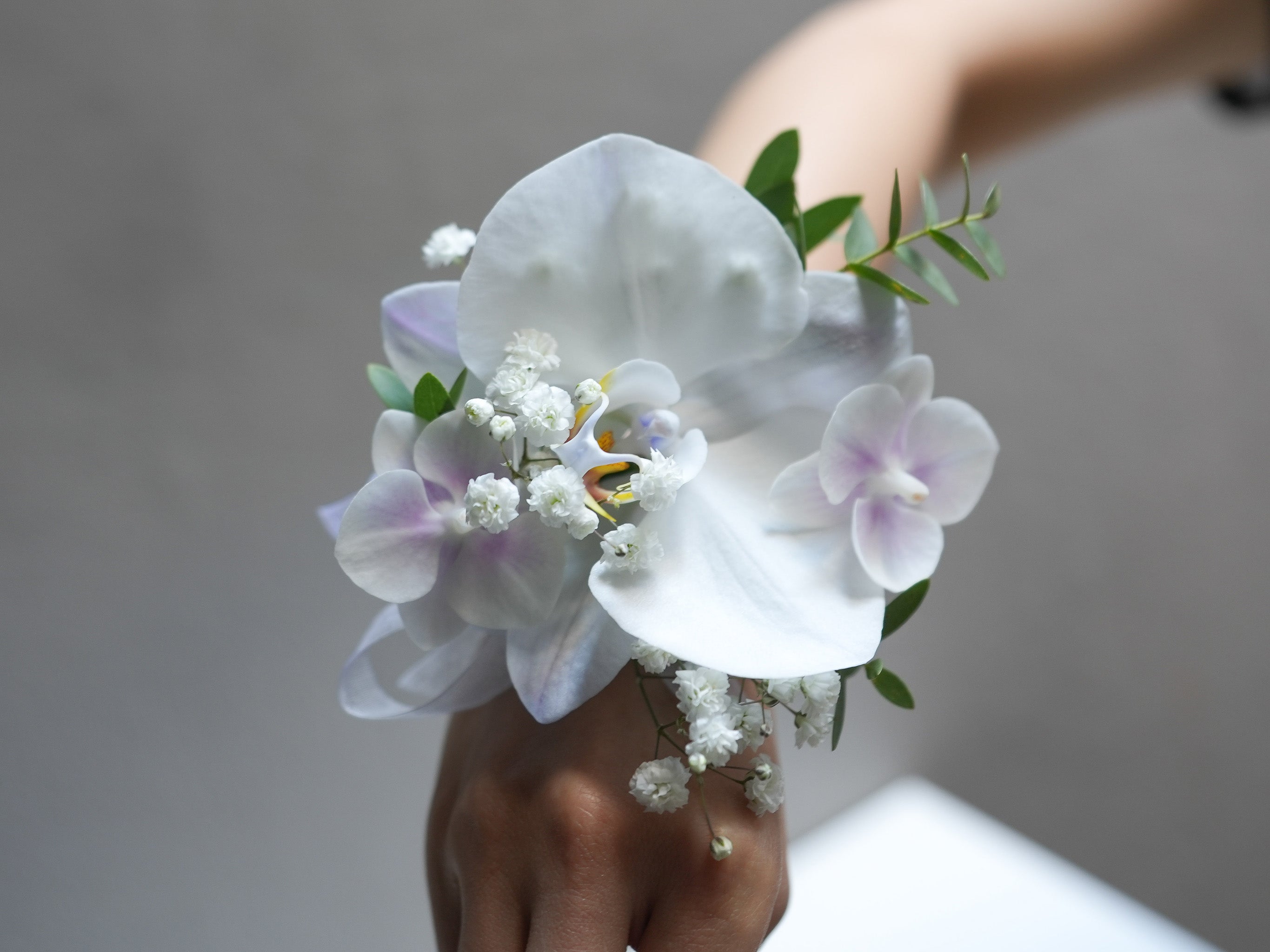 Lavender Elegance