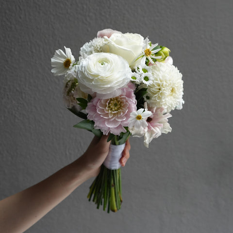 Velvet Blush
