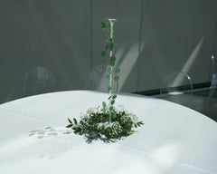 Italian Ruscus Centerpiece