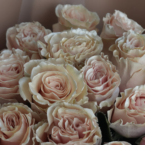 Pearl Rose Bouquet