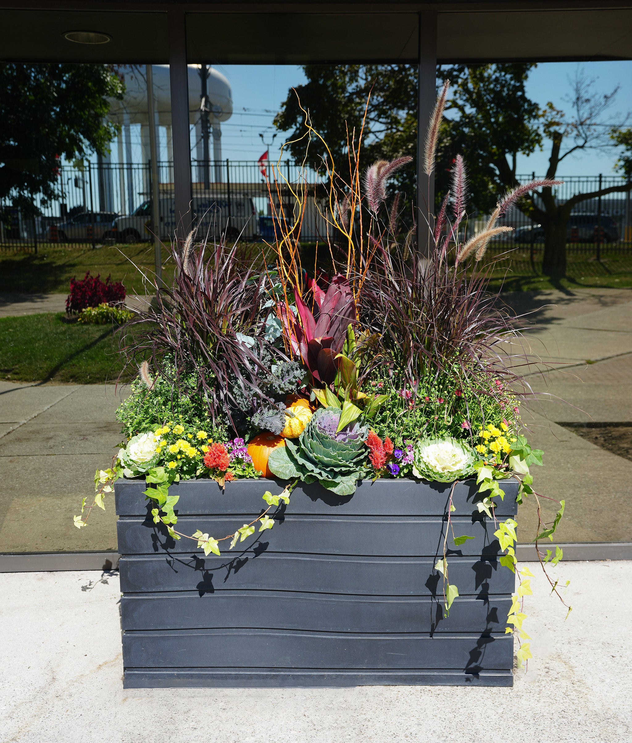 Autumn outdoor plant