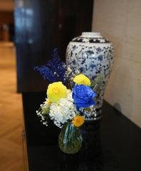 Color Bloom