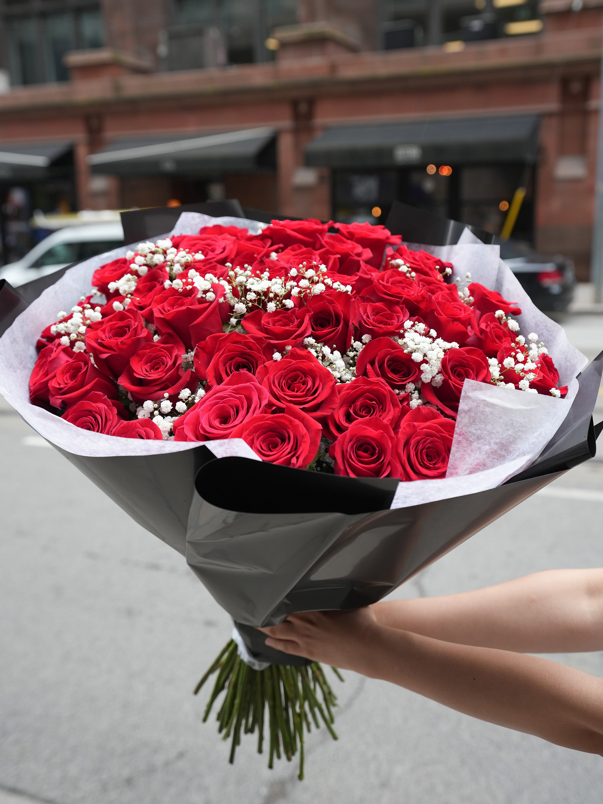 50 Red Rose