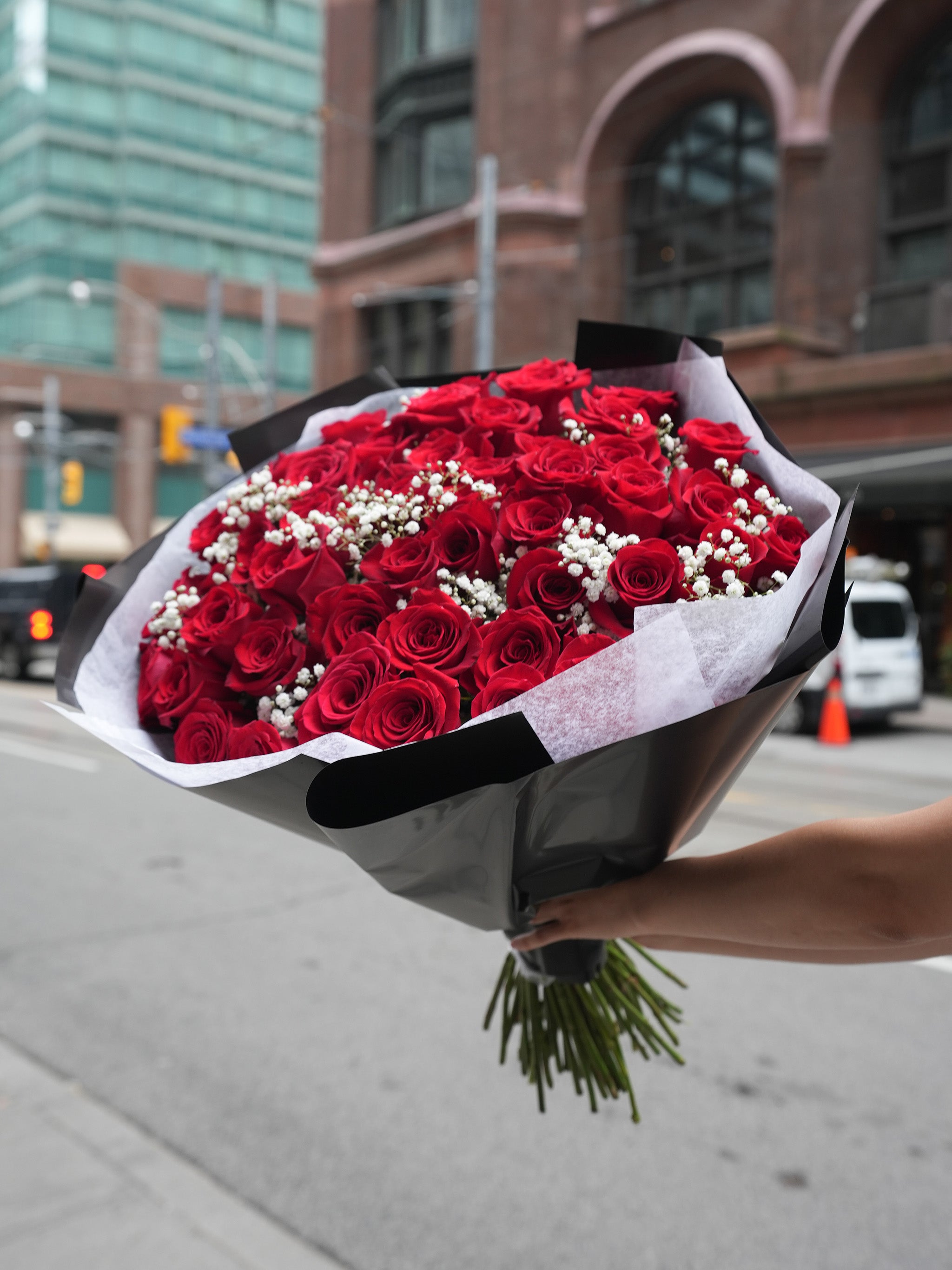 50 Red Rose