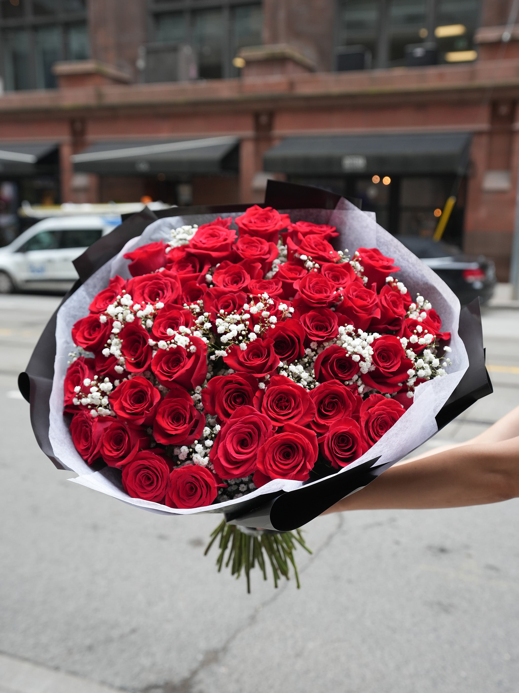 50 Red Rose