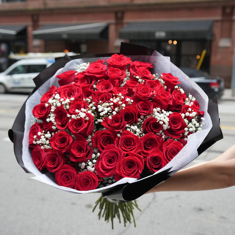 50 Red Rose