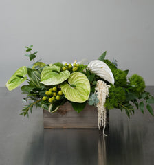 Evergreen Elegance Centerpiece