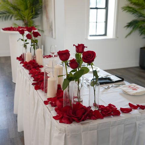 Solitary Scarlet Centerpiece
