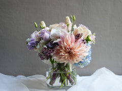 Pastel Cloud Garden