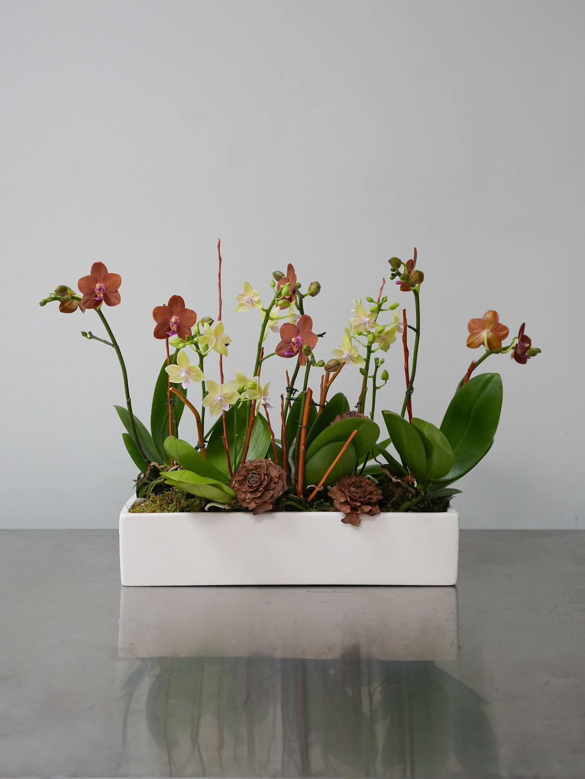 Autumn Orchid Arrangement