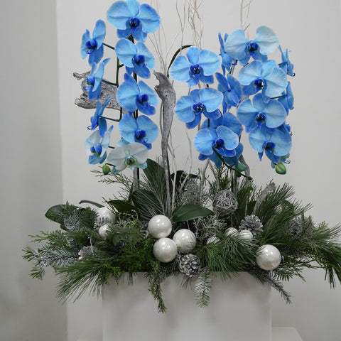Frosted Blue Orchid