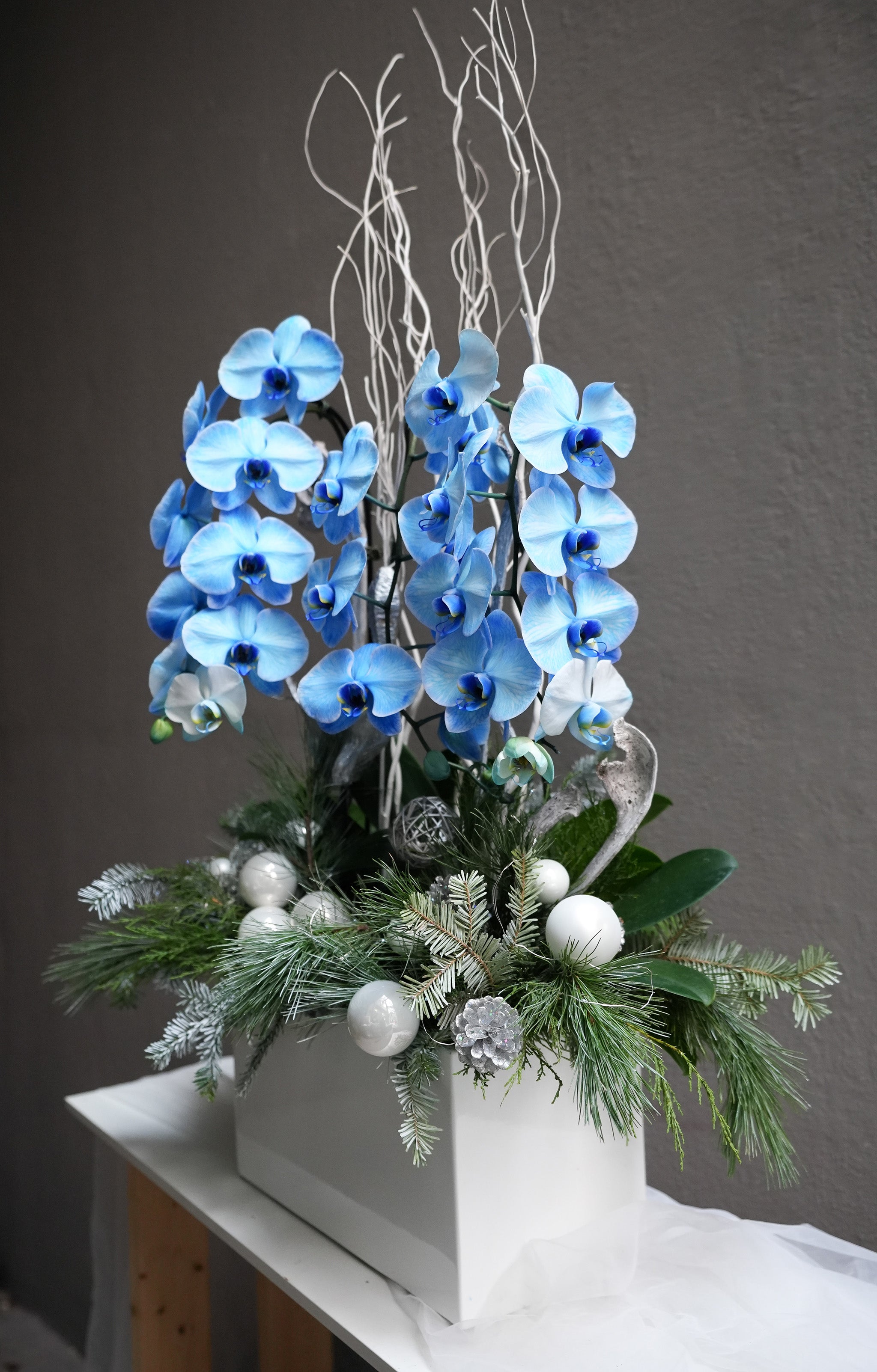 Frosted Blue Orchid