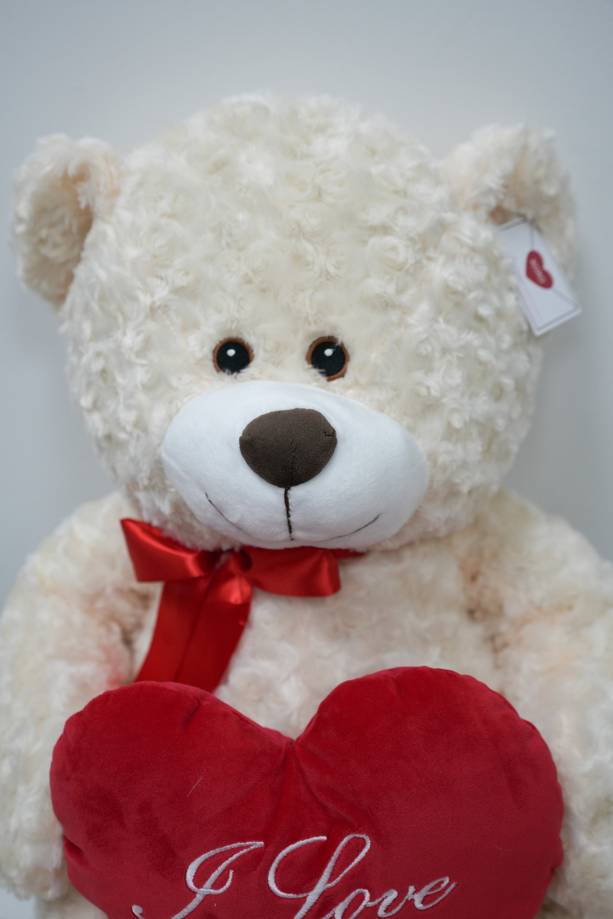 Teddy Bear