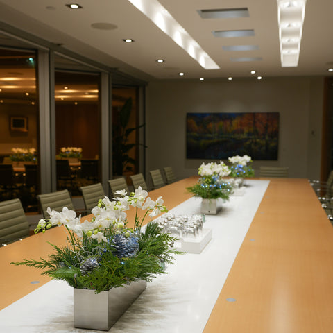 Northern Lights Orchid