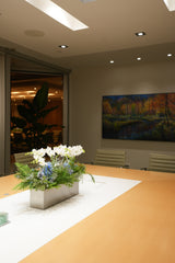 Northern Lights Orchid