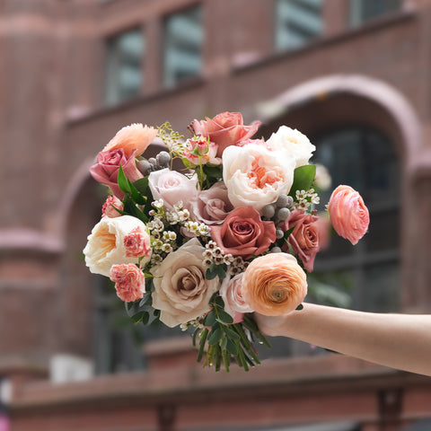Coral Veil