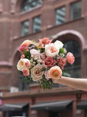 Coral Veil