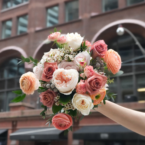 Coral Veil