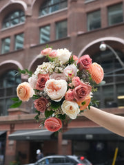 Coral Veil