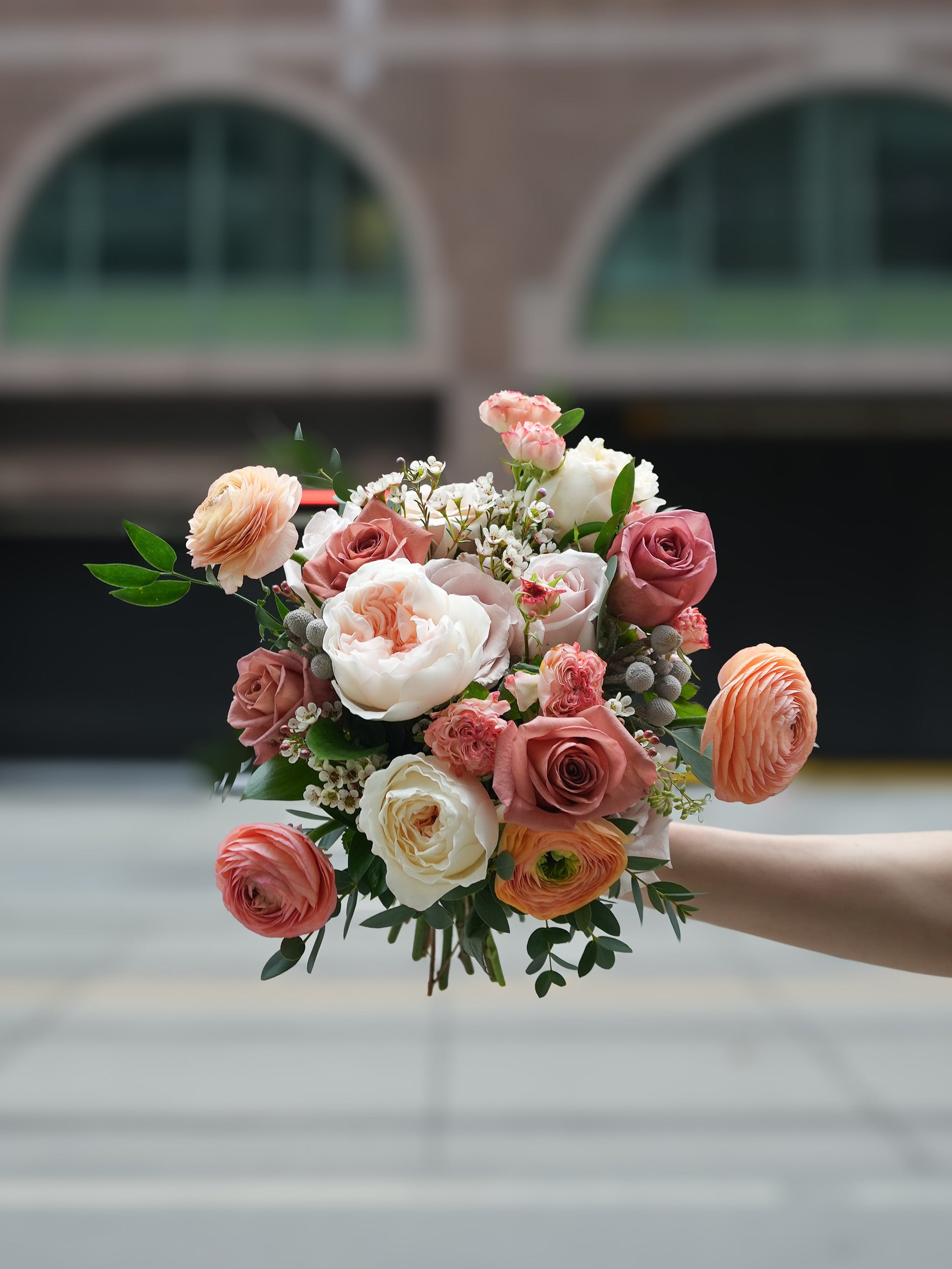 Coral Veil