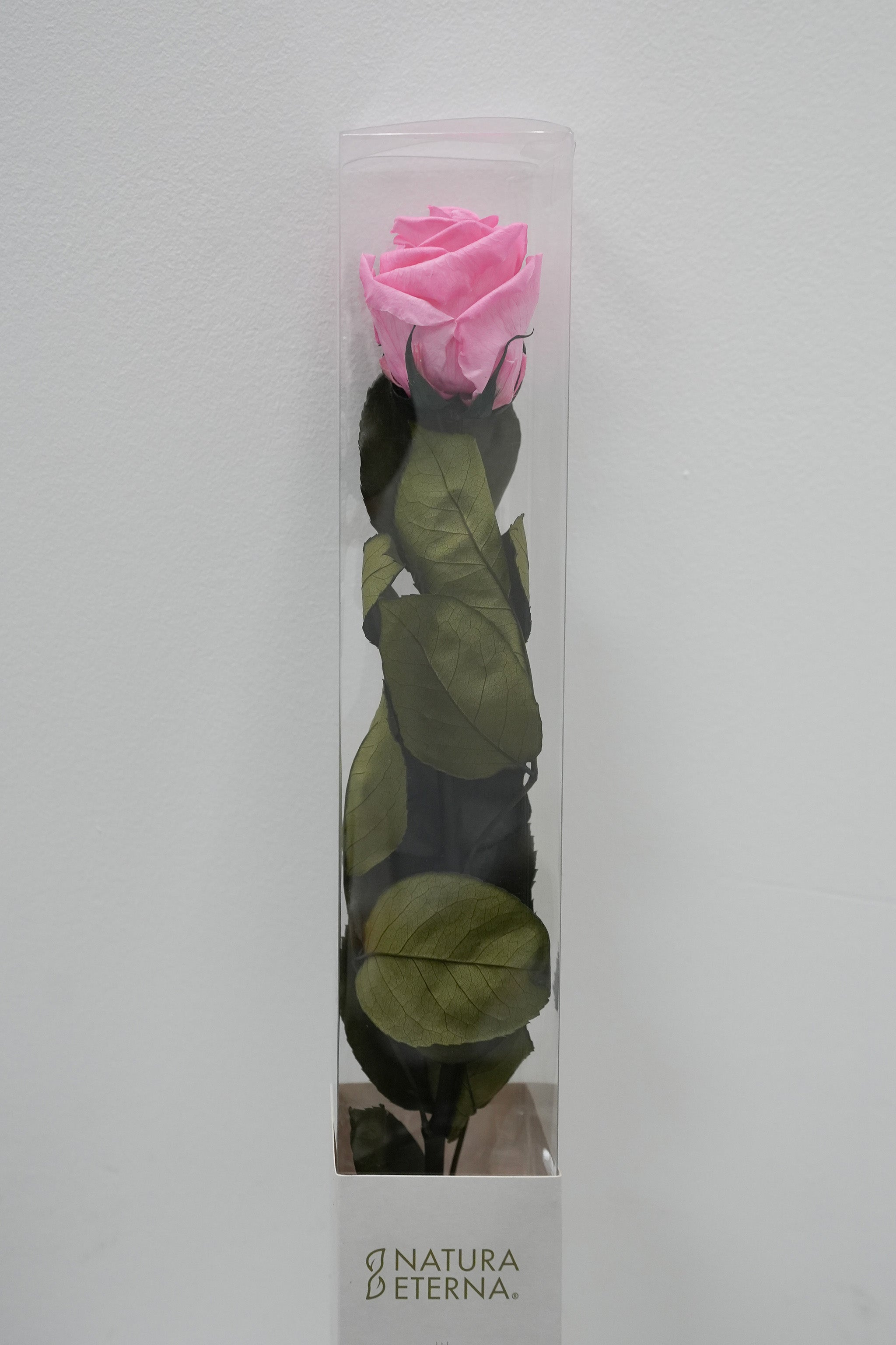 Single Preserved Rose