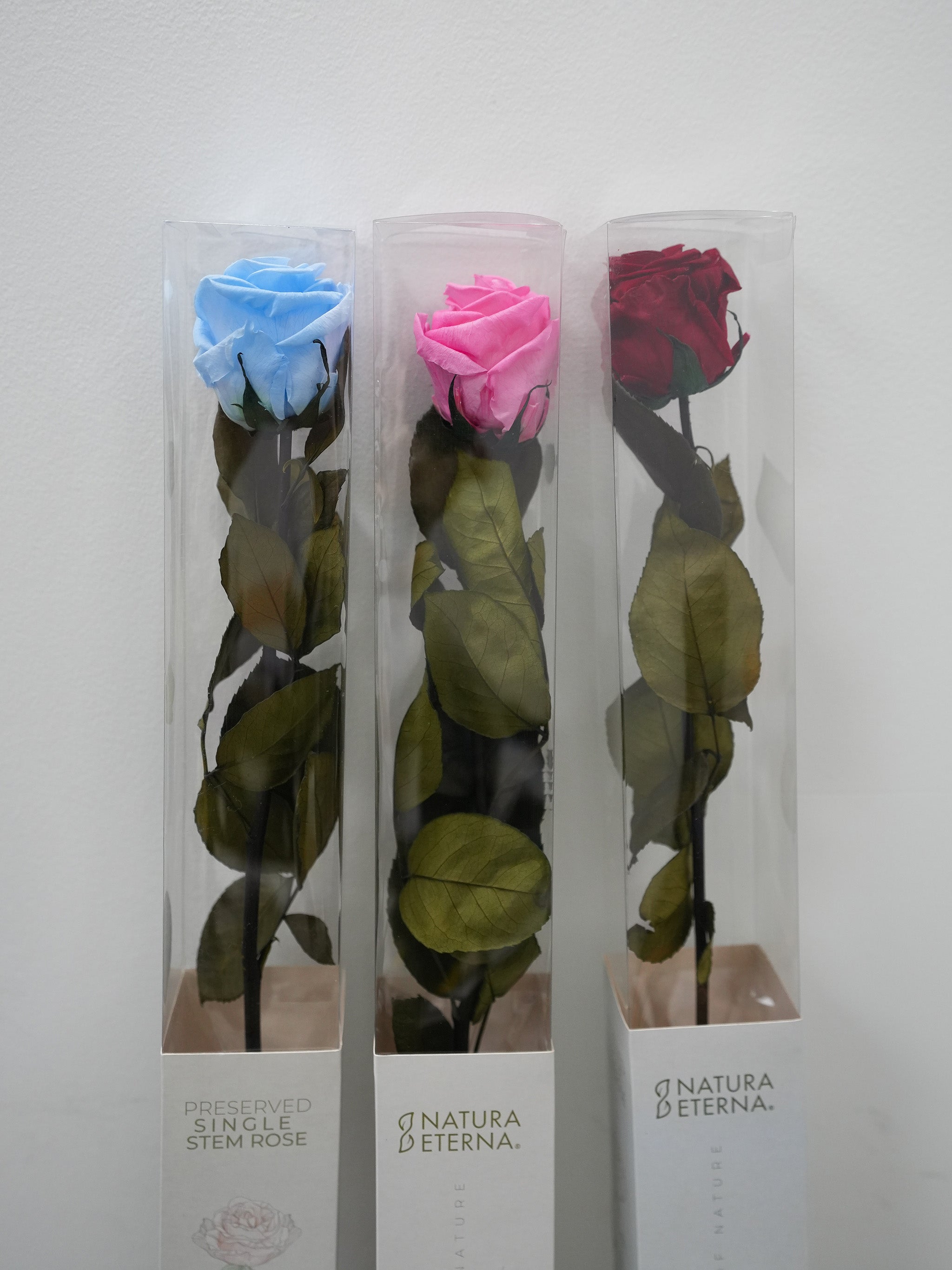 Single Preserved Rose