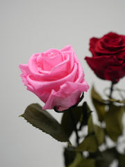 Single Preserved Rose