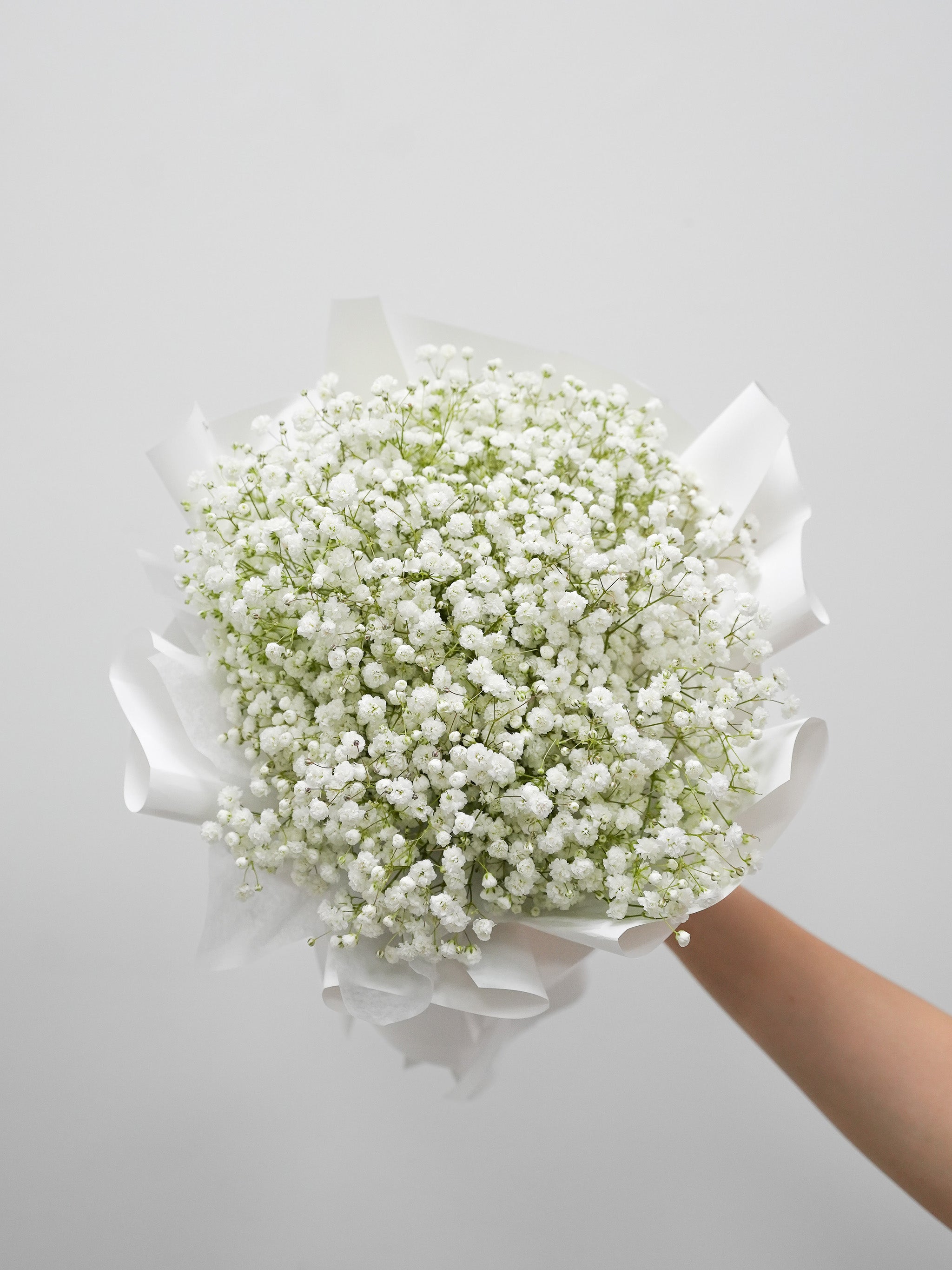 Baby's Breath Bouquet