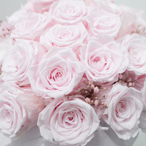 Blush Eternity Rose Box