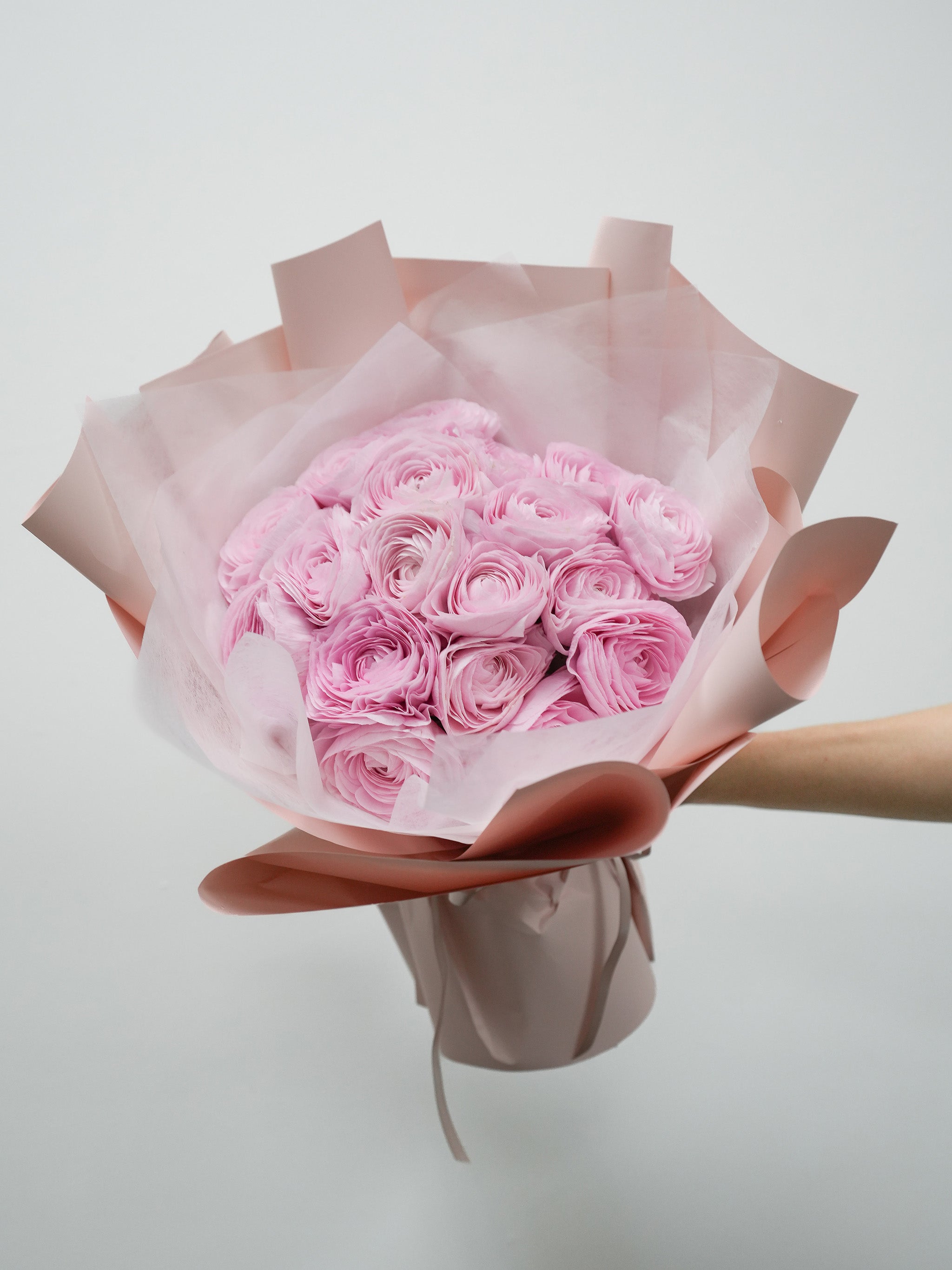 Pink Ranunculus Ord