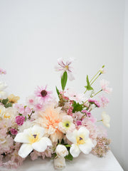 Blushing Spring