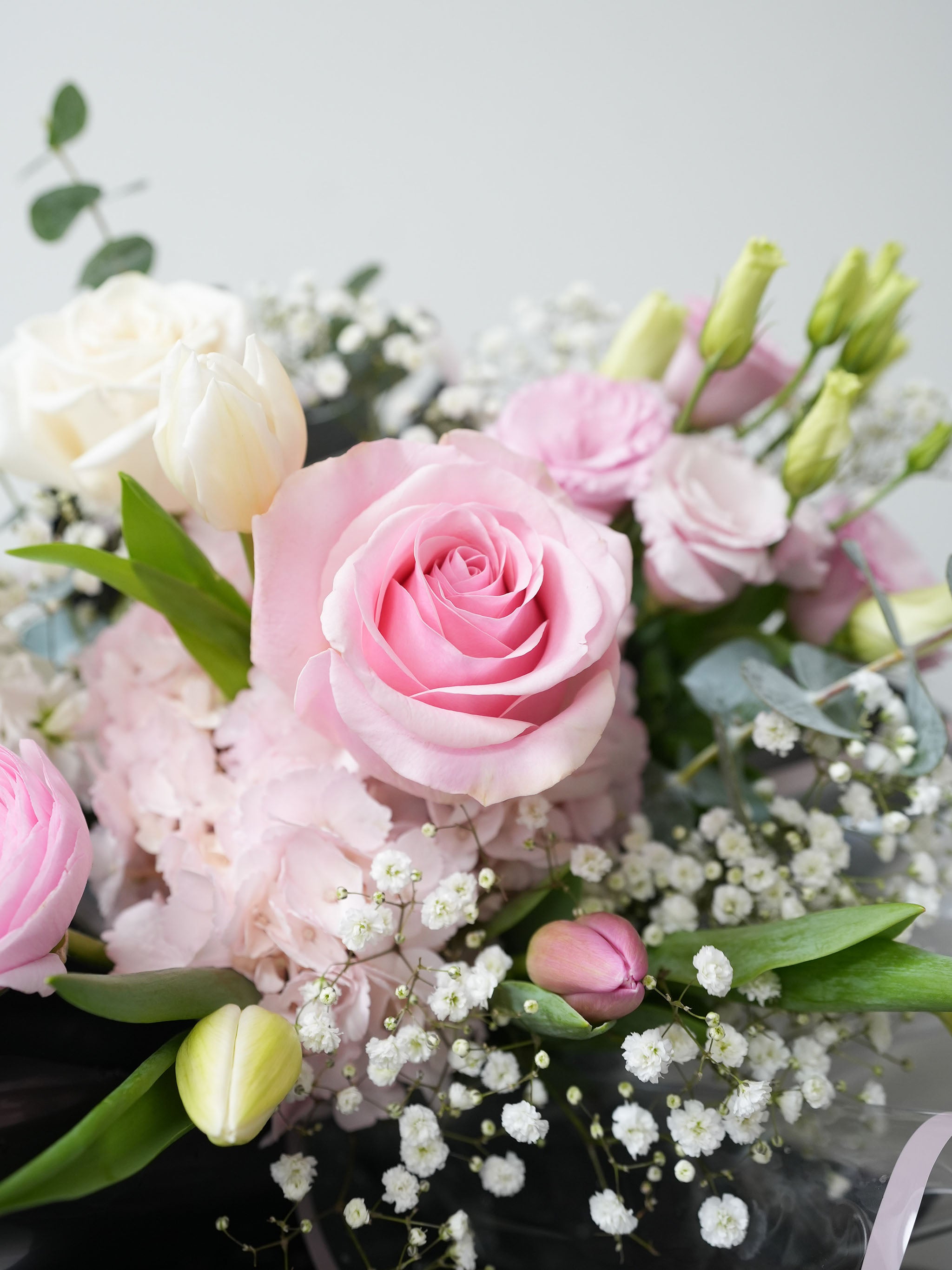 Blush Noir