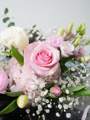 Blush Noir