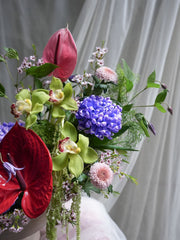Royal Celebration