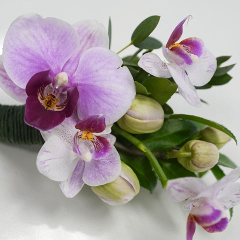 Purple Orchid Boutonniere & Corsage