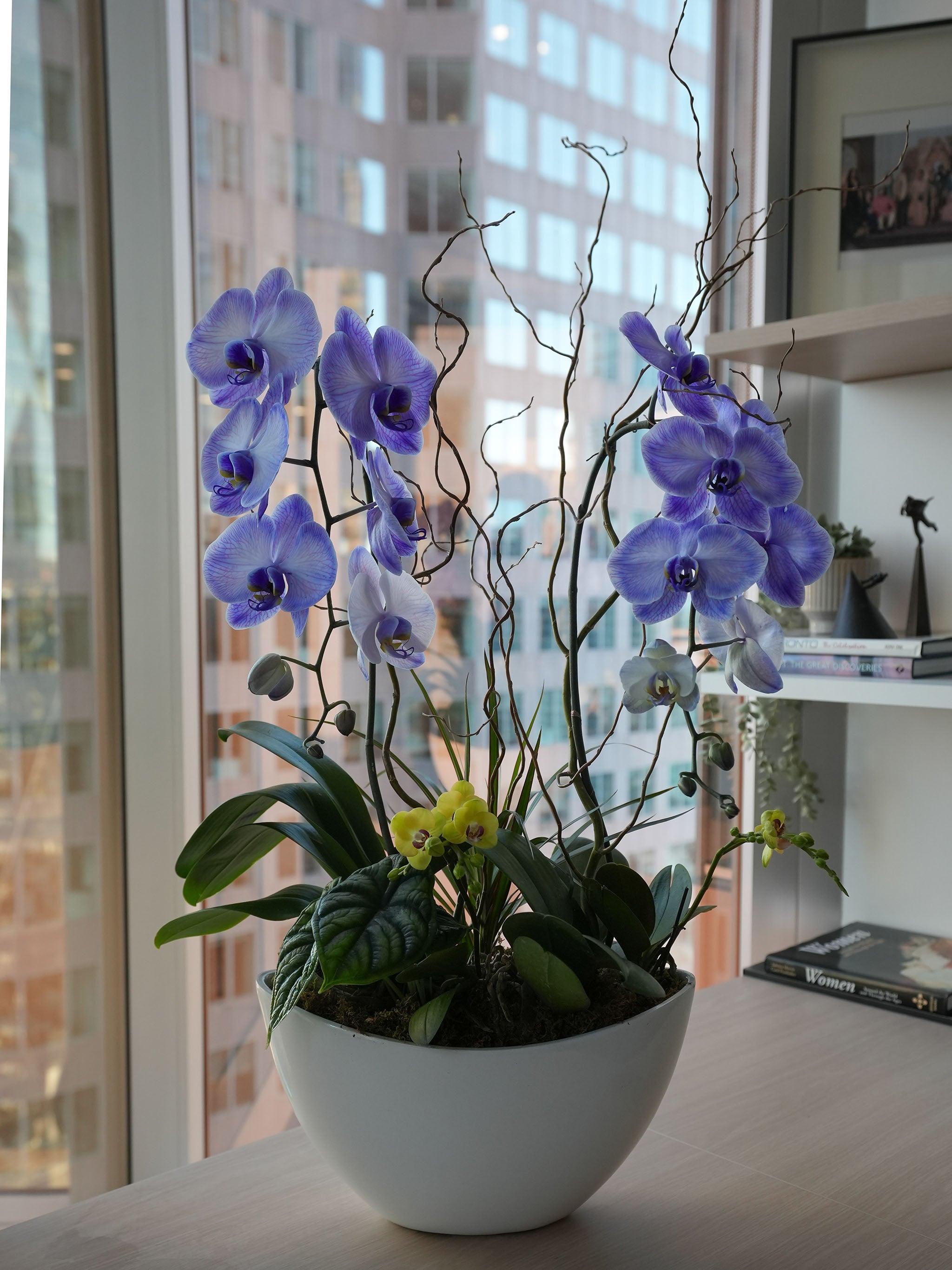 [MD] Purple Elegance Orchid Arrangement