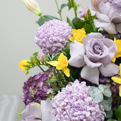 Lilac Serenade